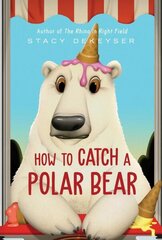 How to Catch a Polar Bear цена и информация | Книги для подростков и молодежи | 220.lv