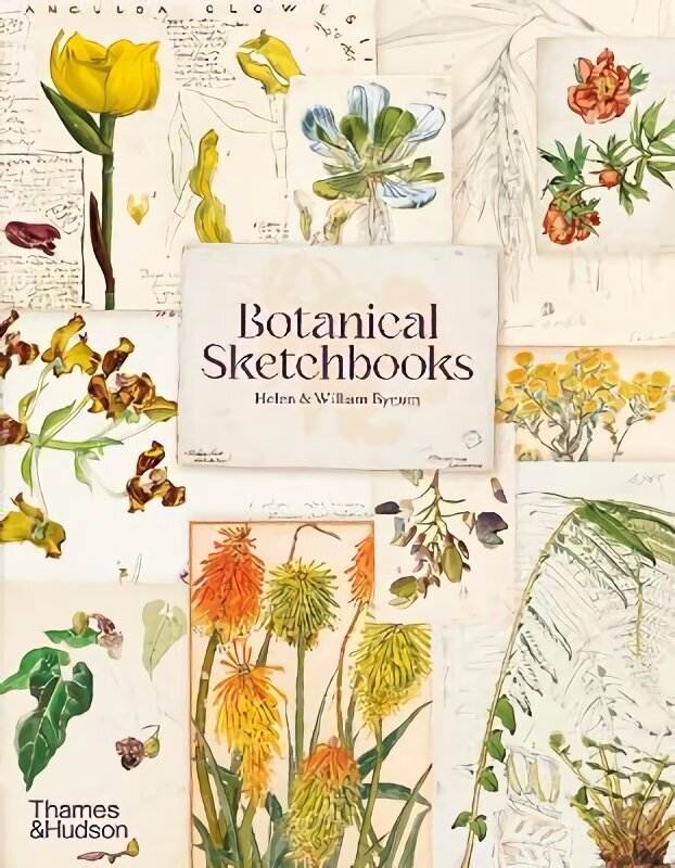 Botanical Sketchbooks цена и информация | Mākslas grāmatas | 220.lv