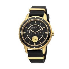 Женские часы Esprit ES1L140P0035 цена и информация | Женские часы | 220.lv