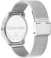 Pulkstenis sievietēm Calvin Klein 25200027 цена и информация | Sieviešu pulksteņi | 220.lv