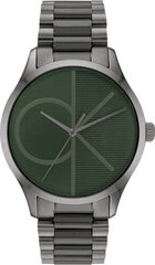 Мужские часы Calvin Klein 25200164 цена и информация | Женские часы | 220.lv
