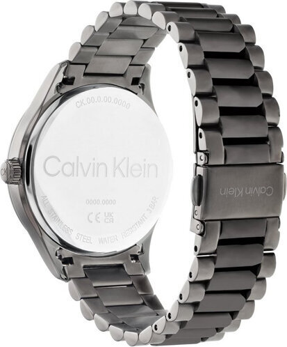 Pulkstenis sievietēm Calvin Klein 25200164 цена и информация | Sieviešu pulksteņi | 220.lv