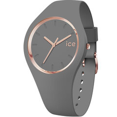 Часы Ice Watch 015336 цена и информация | Женские часы | 220.lv