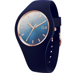 Часы Ice Watch 015751 цена и информация | Женские часы | 220.lv