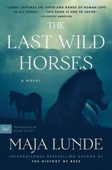 Last Wild Horses цена и информация | Фантастика, фэнтези | 220.lv