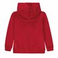 Meiteņu svīteris ar logo, kapuci, garām piedurknēm, sarkans, Marc O'Polo cena un informācija | Jakas, džemperi, žaketes, vestes meitenēm | 220.lv