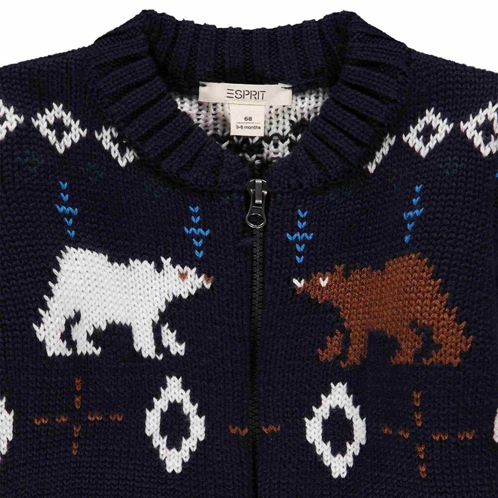 Džemperis zēniem, Esprit cena un informācija | Zēnu jakas, džemperi, žaketes, vestes | 220.lv