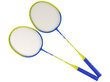 Badmintona rakešu komplekts cena un informācija | Badmintons | 220.lv
