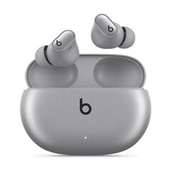 Beats Studio Buds Cosmic Silver MT2P3ZM/A цена и информация | Наушники | 220.lv