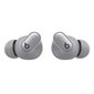 Beats Studio Buds + - True Wireless Noise Cancelling Earbuds - Cosmic Silver - MT2P3ZM/A cena un informācija | Austiņas | 220.lv