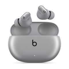 Beats Studio Buds + - True Wireless Noise Cancelling Earbuds - Cosmic Silver - MT2P3ZM/A цена и информация | Наушники | 220.lv