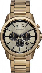 Sieviešu pulkstenis Armani Exchange AX1739 цена и информация | Женские часы | 220.lv