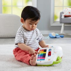 Fisher -price GFK01 - Первая клавиатура детей, с песнями, огнями и шумами, детские игрушки с 6 месяцев цена и информация | Игрушки для малышей | 220.lv