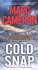 Cold Snap: An Action Packed Novel of Suspense cena un informācija | Fantāzija, fantastikas grāmatas | 220.lv