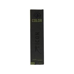 Краска для волос I.c.o.n.  Dusty Rose, 60 мл цена и информация | Краска для волос | 220.lv