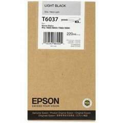 Картридж Epson C13T603700 цена и информация | Картриджи для струйных принтеров | 220.lv