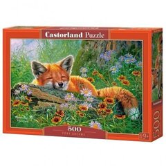 Puzle ar lapsu Castorland Foxy Dreams, 500 d. цена и информация | Пазлы | 220.lv