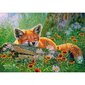 Puzle ar lapsu Castorland Foxy Dreams, 500 d. цена и информация | Puzles, 3D puzles | 220.lv