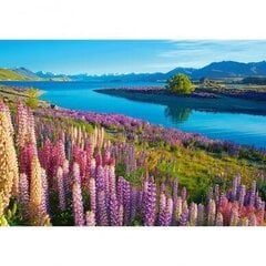 Puzle Castorland Lake Tekapo New Zealand, 500 d. cena un informācija | Puzles, 3D puzles | 220.lv