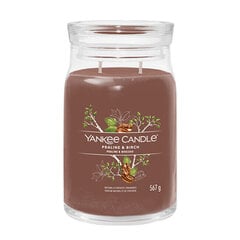 Yankee Candle aromātiskā svece Praline & Birch 567 g cena un informācija | Sveces un svečturi | 220.lv