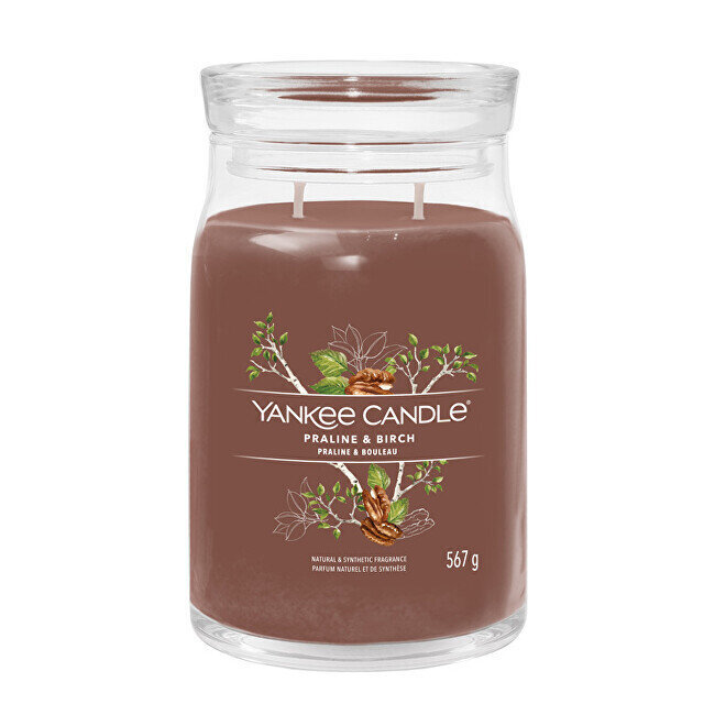 Yankee Candle aromātiskā svece Praline & Birch 567 g cena un informācija | Sveces un svečturi | 220.lv