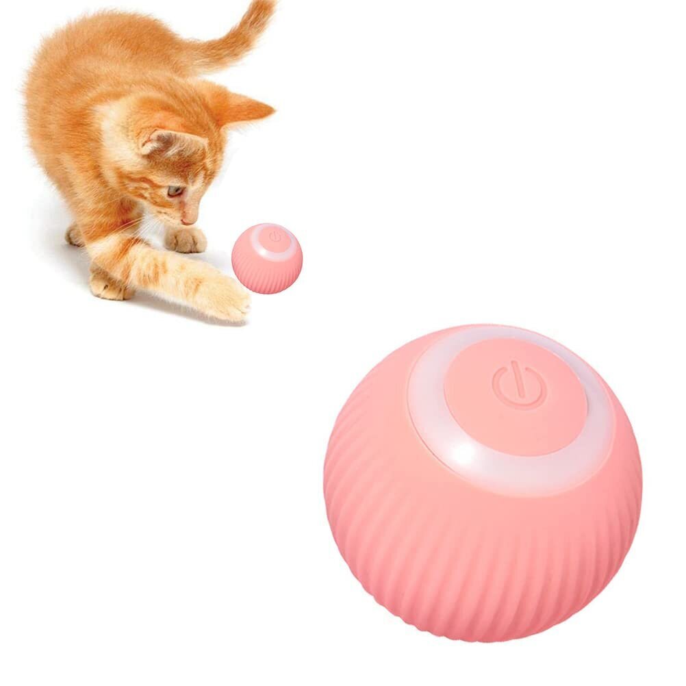Interaktīva rotaļlieta kaķiem - Bumba cena un informācija | Rotaļlietas kaķiem | 220.lv
