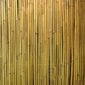 Perforēts bambusa žogs In Garden, 1x3 m cena un informācija | Žogi un piederumi | 220.lv