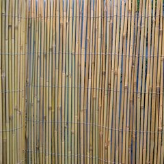 Bambusa niedru žogs In Garden, 2x5 m cena un informācija | Žogi un piederumi | 220.lv