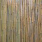 Bambusa niedru žogs In Garden, 2x5 m цена и информация | Žogi un piederumi | 220.lv