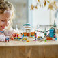 41760 LEGO® Friends Brīvdienu piedzīvojumi Iglu cena un informācija | Konstruktori | 220.lv