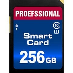 Atmiņas karte SD, 256 GB cena un informācija | Atmiņas kartes mobilajiem telefoniem | 220.lv
