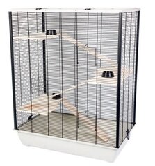 Клетка для грызунов Inter-Zoo Diego + Wood, 78 см цена и информация | Клетки и аксессуары для грызунов | 220.lv