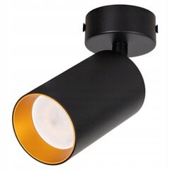 Настенный светильник Opviq Avni цена и информация | Настенные светильники | 220.lv