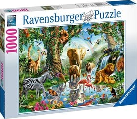 Puzle Ravensburger Adventures in Jungle 19837, 1000 d. cena un informācija | Puzles, 3D puzles | 220.lv