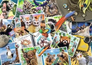 Puzle Ravensburger Traveler S Animal Journal 17322, 1000 d. cena un informācija | Puzles, 3D puzles | 220.lv