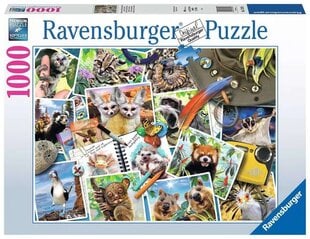 Puzle Ravensburger Traveler S Animal Journal 17322, 1000 d. цена и информация | Пазлы | 220.lv