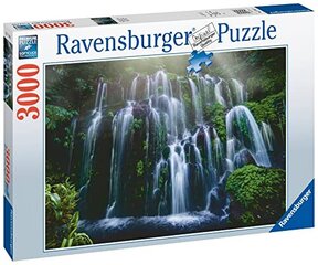 Паззл Водопады Ravensburger цена и информация | Пазлы | 220.lv