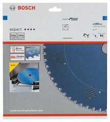 Ripzāģis Bosch Expert for Steel cena un informācija | Rokas instrumenti | 220.lv