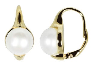 Apzeltīti auskari ar īstām pērlēm JwL Luxury Pearls JL0532 sJL0532 cena un informācija | Auskari | 220.lv