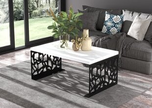 Журнальный столик ADRK Furniture Semara 100х60см, белый/черный цвет цена и информация | Журнальные столики | 220.lv