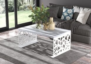 Kafijas galdiņš ADRK Furniture Semara 100x60cm, pelēks/balts cena un informācija | Žurnālgaldiņi | 220.lv