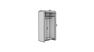 Шкаф ADRK Furniture Cesiro 2-дверный, белый цвет цена и информация | Шкафы | 220.lv