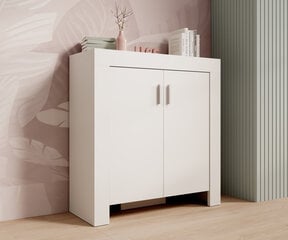 Kumode ADRK Furniture 2D 100 Cesiro, balta цена и информация | Комоды | 220.lv