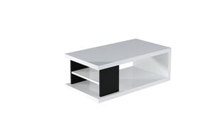 Kafijas galdiņš ADRK Furniture Lenea, 110x60cm, balts cena un informācija | Žurnālgaldiņi | 220.lv