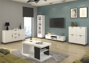 Журнальный столик ADRK Furniture Lenea, 110x60см, белый цвет цена и информация | Журнальные столики | 220.lv