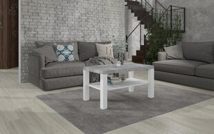 Kafijas galdiņš ADRK Furniture Gomez, 100x55cm, pelēks/balts cena un informācija | Žurnālgaldiņi | 220.lv