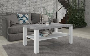 Журнальный столик ADRK Furniture Sven, 115x65см, серый/белый цвет цена и информация | Журнальные столики | 220.lv