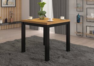 Kafijas galdiņš ADRK Furniture Olaf 1, 80x80cm, brūns/melns cena un informācija | Žurnālgaldiņi | 220.lv