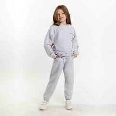 Спортивный костюм для девочек Tup Tup, серый цена и информация | Комплекты для девочек | 220.lv
