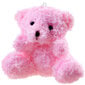 Plīša lācis, rozā цена и информация | Mīkstās (plīša) rotaļlietas | 220.lv